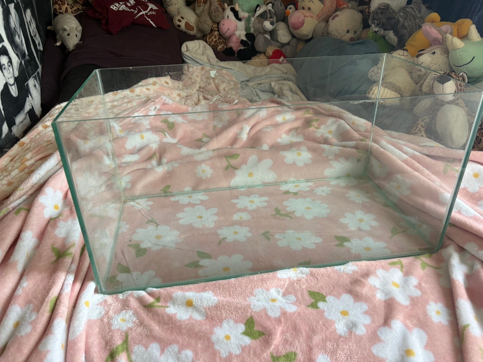 terarium (hamster of reptiel), Dieren en Toebehoren, Ophalen, Zo goed als nieuw