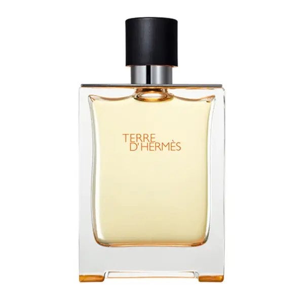 Hermès Terre d’Hermès EDT 100 ml heren