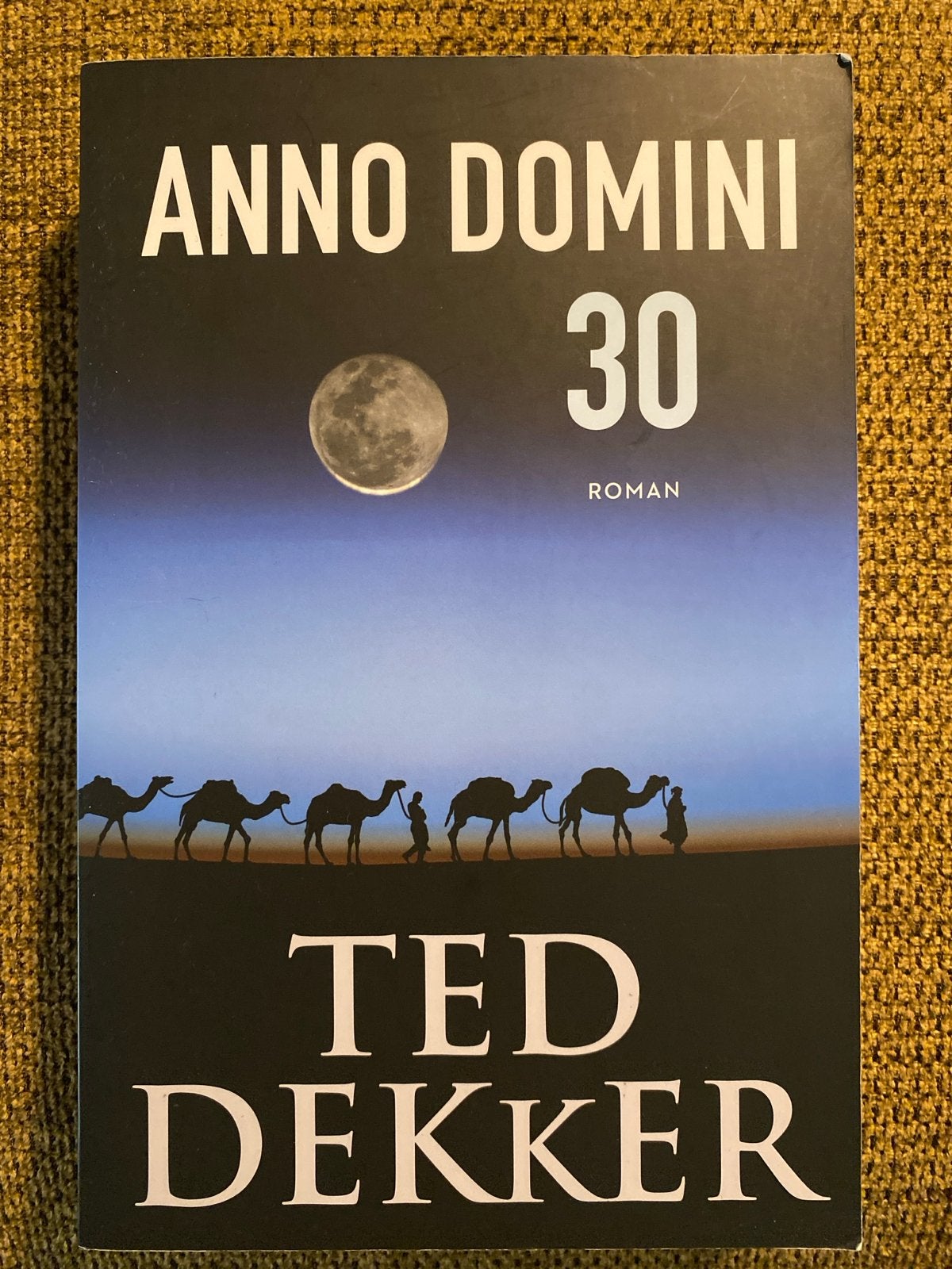 Ted Dekker - Anno Domini 30, Boeken, Literatuur, Zo goed als nieuw, Ophalen of Verzenden