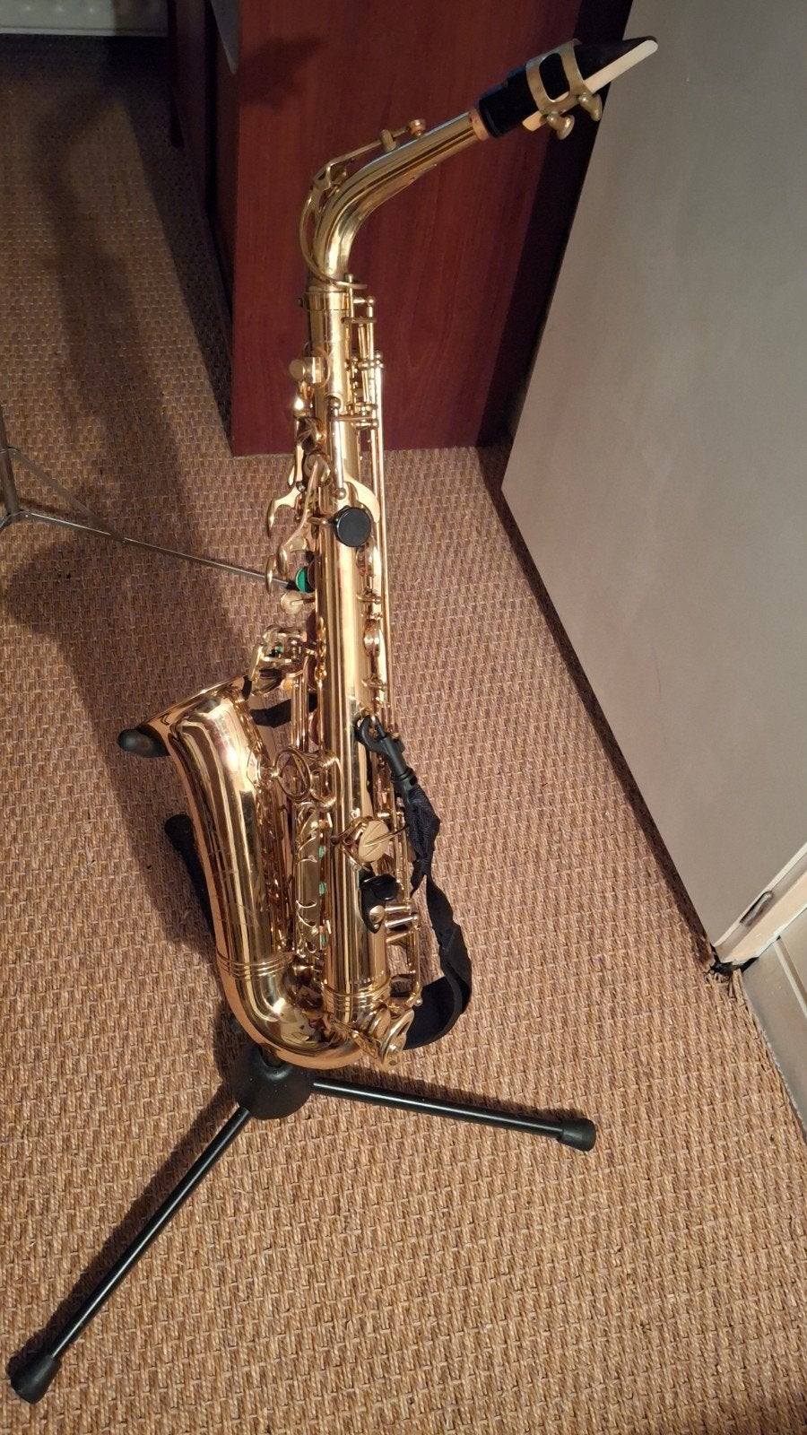 Antigua Altsaxofoon met Koffer, Bladmuziek & Accesso, Ophalen, Gebruikt, Alt, Met koffer