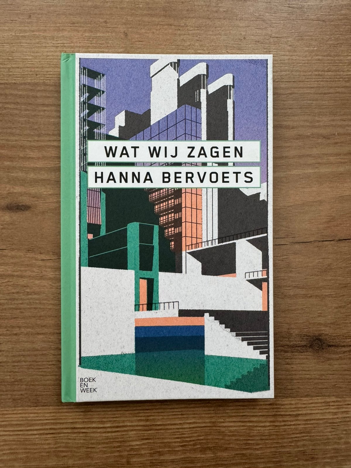 Boek Wat wij zagen.. Hanna Bervoets, Boeken, Ophalen of Verzenden, Zo goed als nieuw