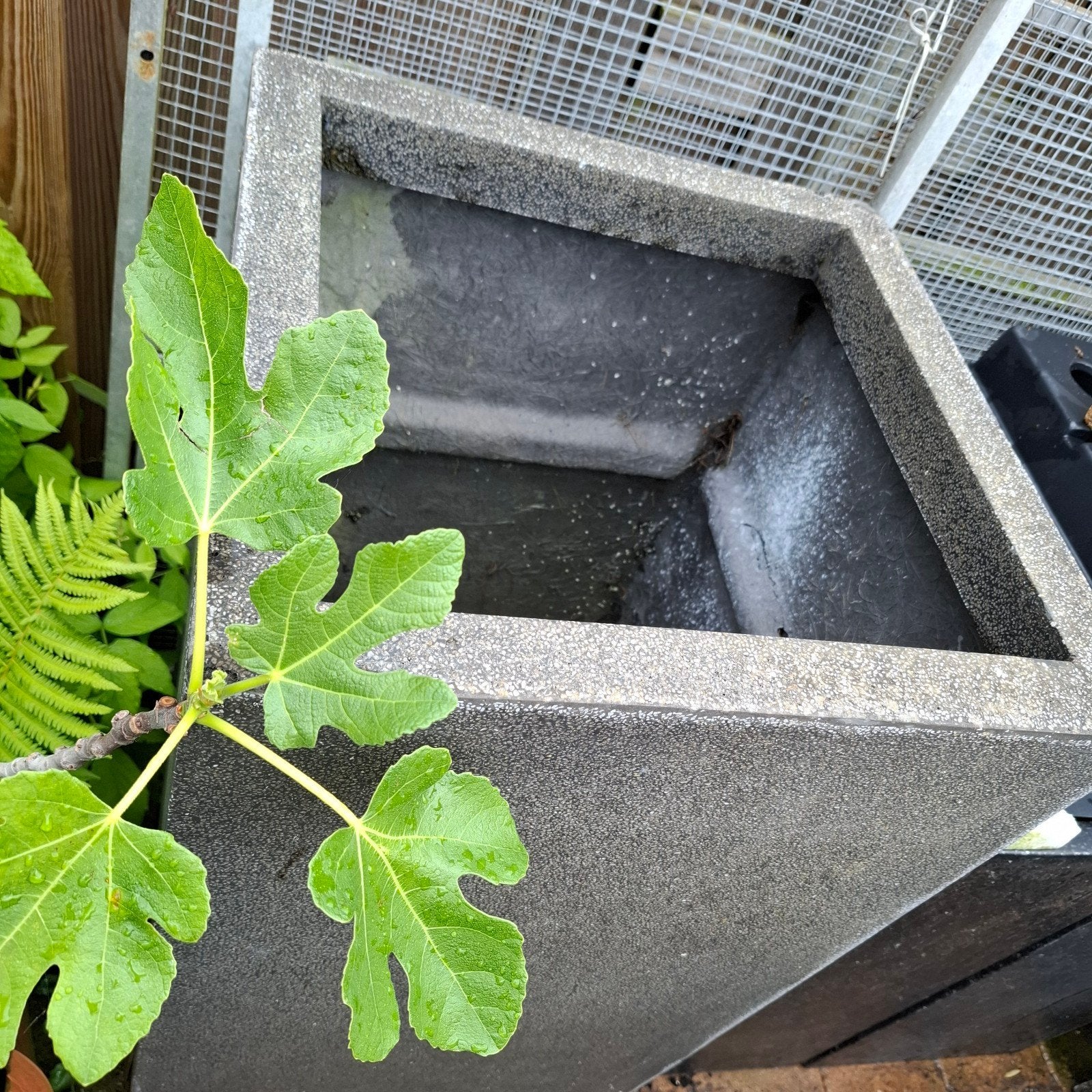 Grote kunstof plantenbak, Tuin en Terras, Vijvers, Ophalen, Zo goed als nieuw