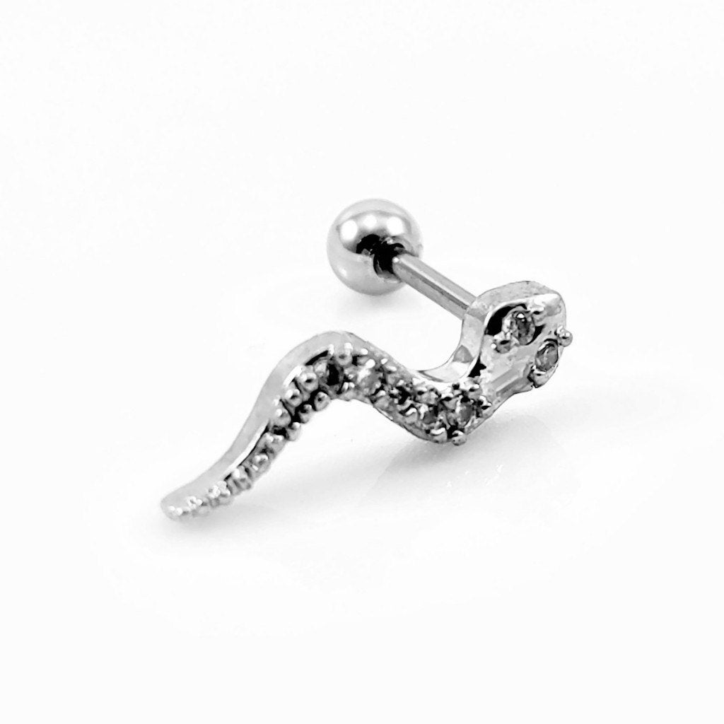RVS Slange Oorpiercing - Tragus - Kraakbeen - Helix, Staal, Birgitta-Gracht 33, 6465 EL Kerkrade, Nederland, Verzenden, Oor- of Traguspiercing