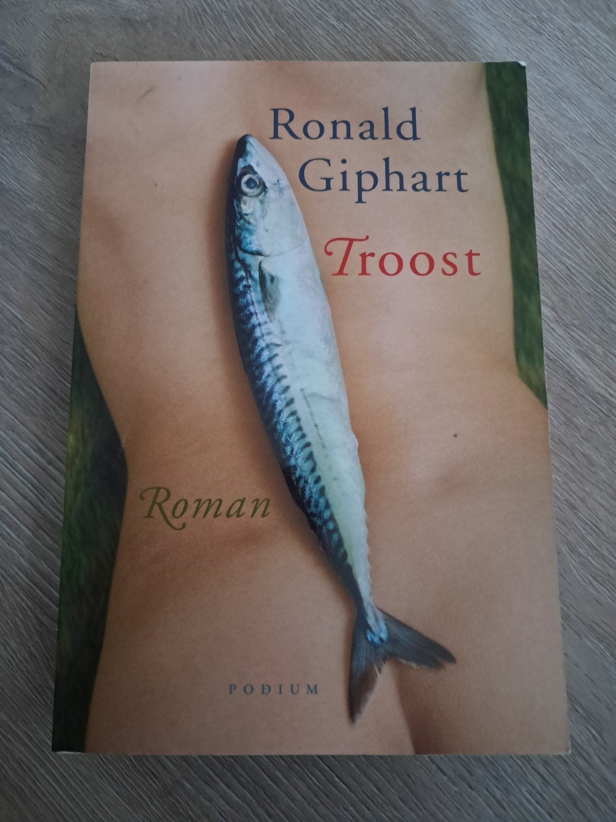 A2 Ronald Giphart - Troost, Ophalen of Verzenden, Zo goed als nieuw, Nederland, Ronald Giphart