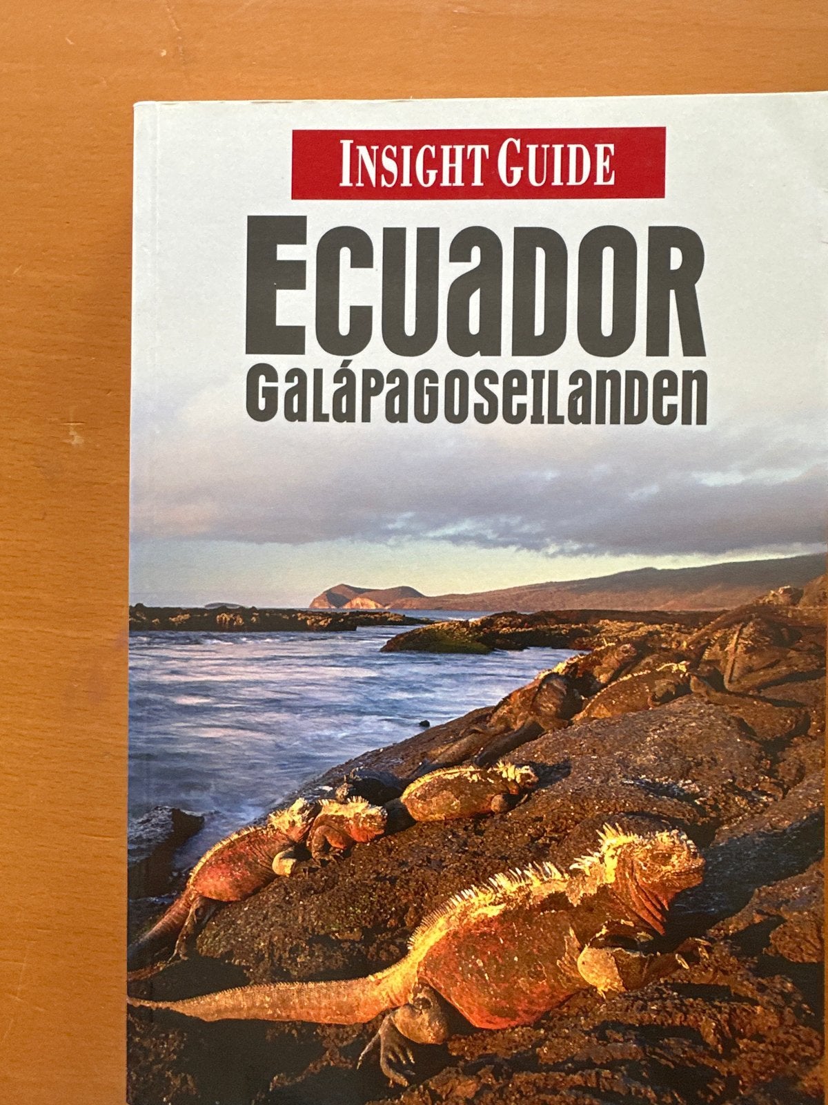 Ecuador & Galápagoseilanden Insight Guide, Boeken, Overige merken, Ophalen of Verzenden, Reisgids of -boek, Zuid-Amerika