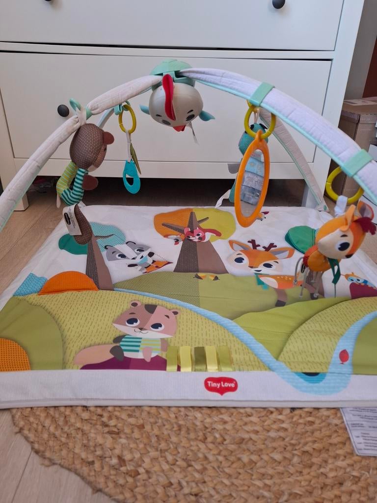 Tiny Love Babygym Speelkleed met Speelbogen en Speeltjes, Ophalen of Verzenden, Zo goed als nieuw, Babygym