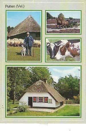 Ansichtkaart 	Putten	4-luik, Verzenden, 1980 tot heden, Gelopen, Gelderland
