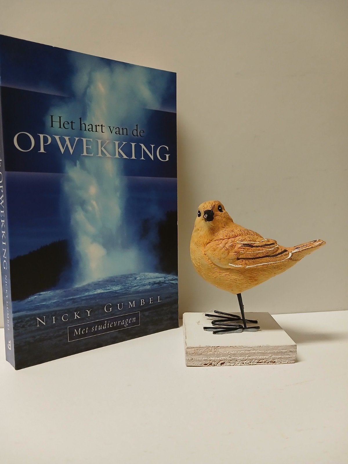 Gumbel, Nicky; Het hart van de opwekking, Ophalen of Verzenden, Gelezen, Christendom | Protestants