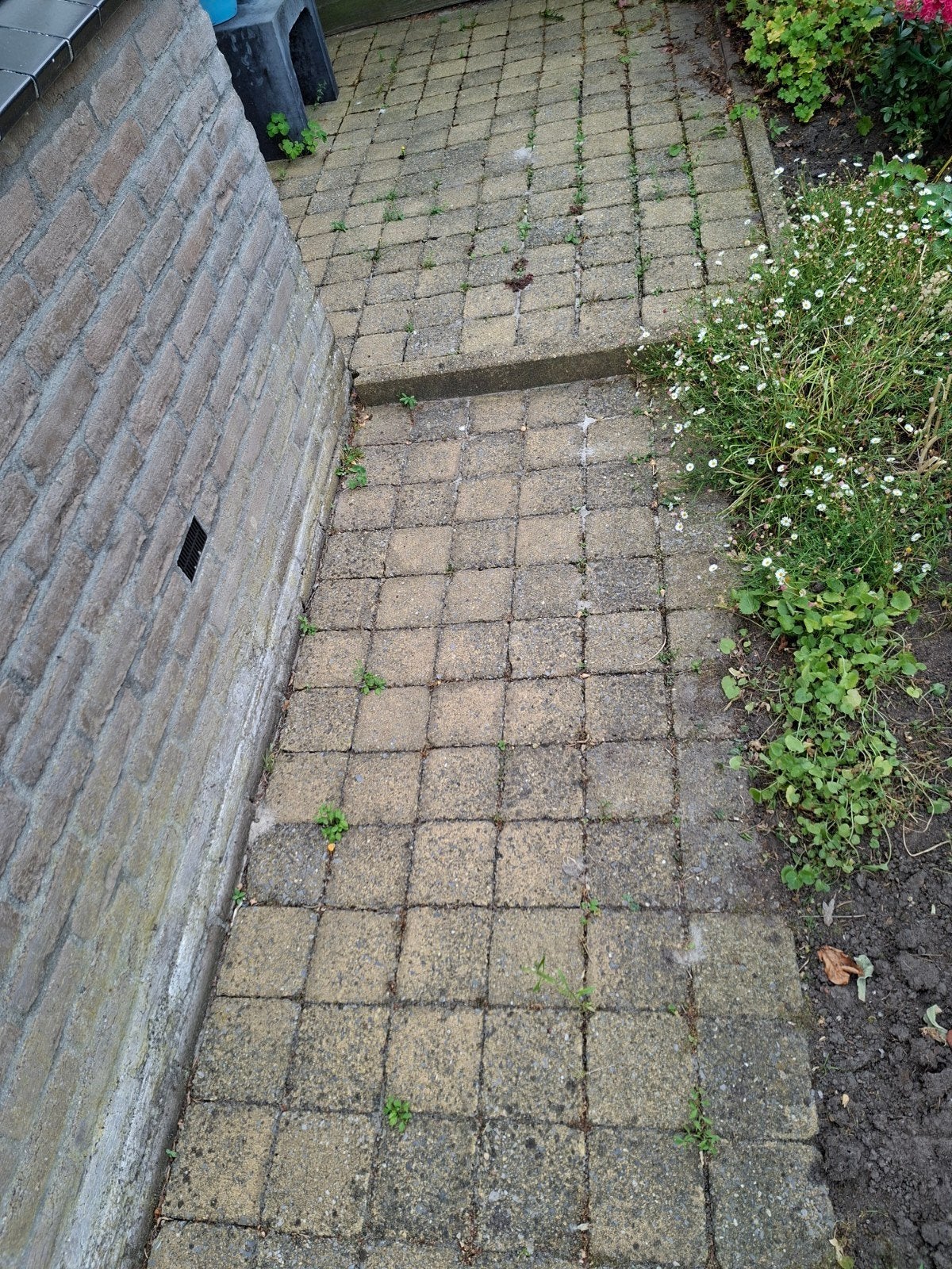 terras stenen 14x14 cm. geel, Tuin en Terras, Tegels en Klinkers, Ophalen, Gebruikt, Klinkers, 5 tot 10 m²