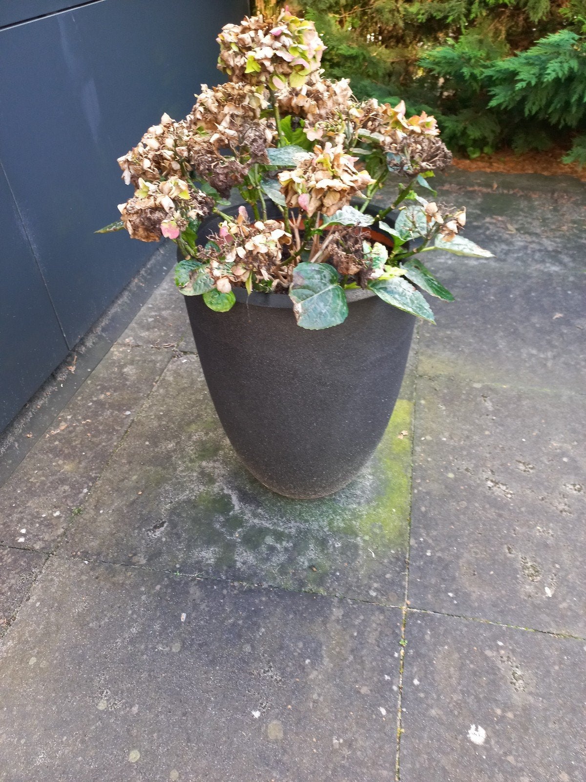 Capi bloempot hoog 47 cm en diameter 36, Kunststof, Rond, Zo goed als nieuw, Balkon
