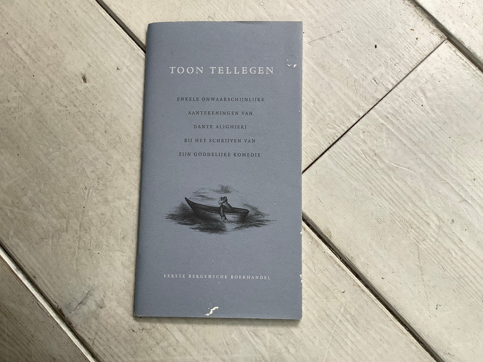 Toon Tellegen - Enkele onwaarschijnlijke aantekeningen, Ophalen of Verzenden, Zo goed als nieuw, Nederland