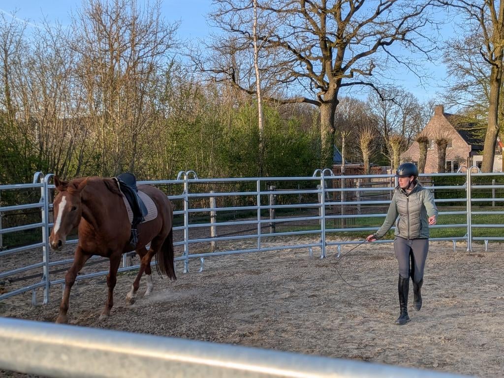 Les in grondwerk met je paard | Grondwerk instructie