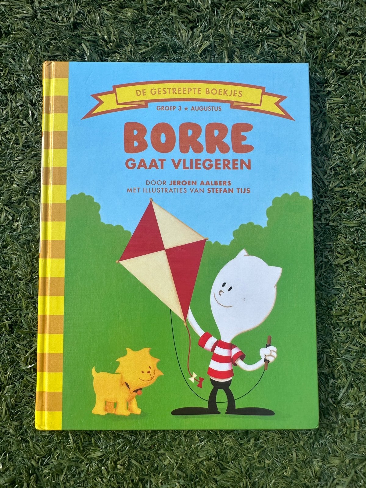 kinderboek Borre gaat vliegeren, Boeken, Ophalen, Fictie algemeen, Zo goed als nieuw, Voorleesboek