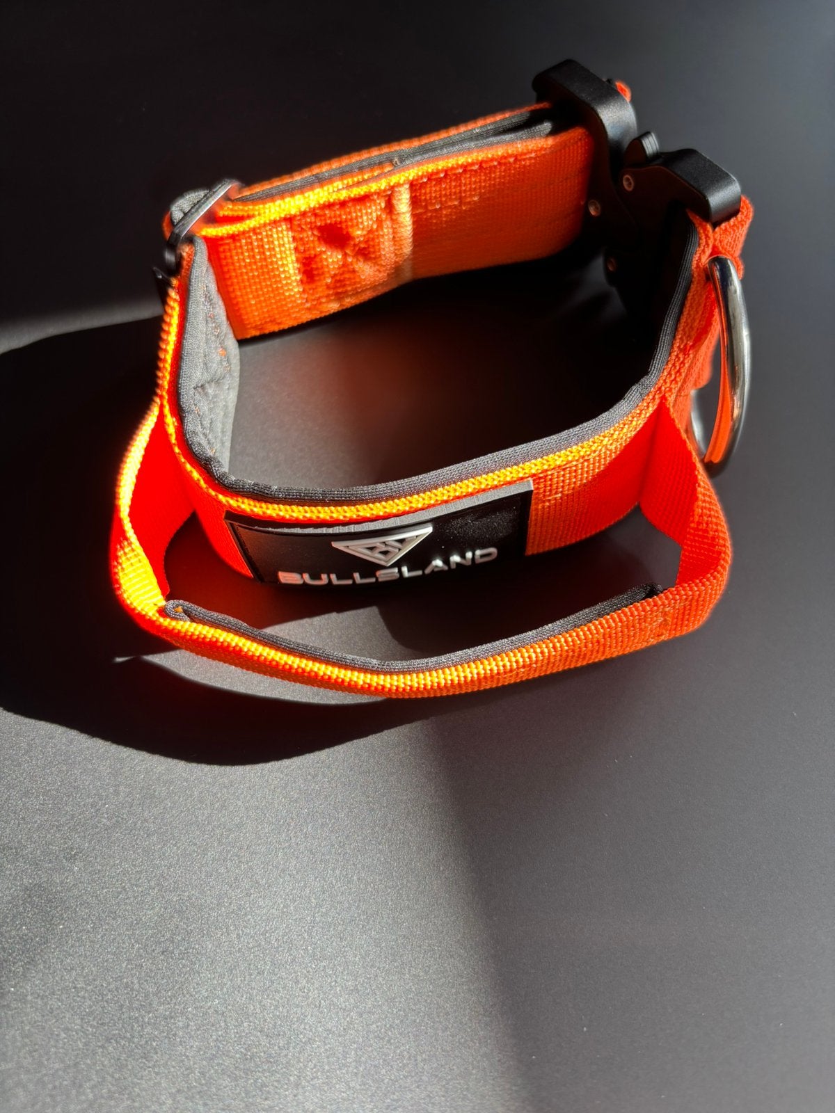 Honden halsband Nieuw !!!, Dieren en Toebehoren, Ophalen of Verzenden, Nieuw