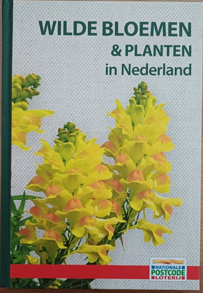 3=2! Wilde bloemen & planten in Nederland - Neil Fletcher, Neil Fletcher, Bloemen, Planten en Bomen, Nieuw, Ophalen of Verzenden