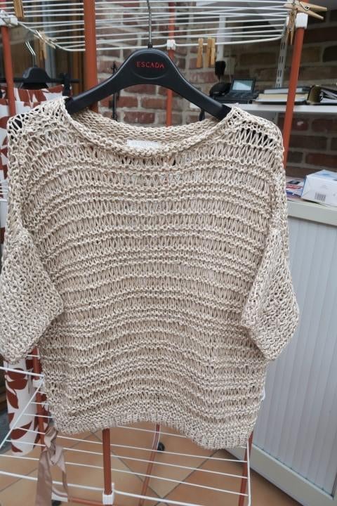 Oversized pulleke bruine tinten Antonelli mt 40-42, Kleding | Dames, Bruin, Maat 42/44 (L), Nieuw, Ophalen of Verzenden
