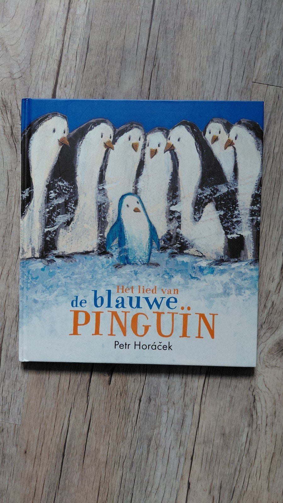 Het lied van de blauwe pinguïn - Petr Horáček, Fictie algemeen, Jongen of Meisje, Petr Horáček, Ophalen of Verzenden