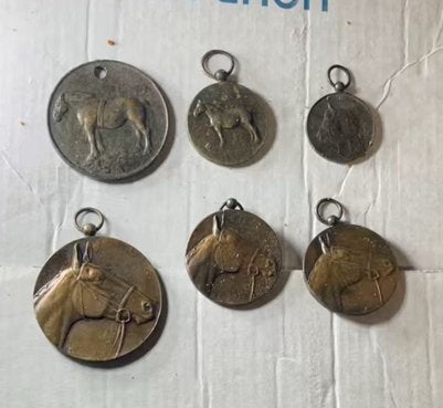 Oude medailles Nederlandse fokdagen (6 stuks), Ophalen of Verzenden, Gebruikt, Overige disciplines