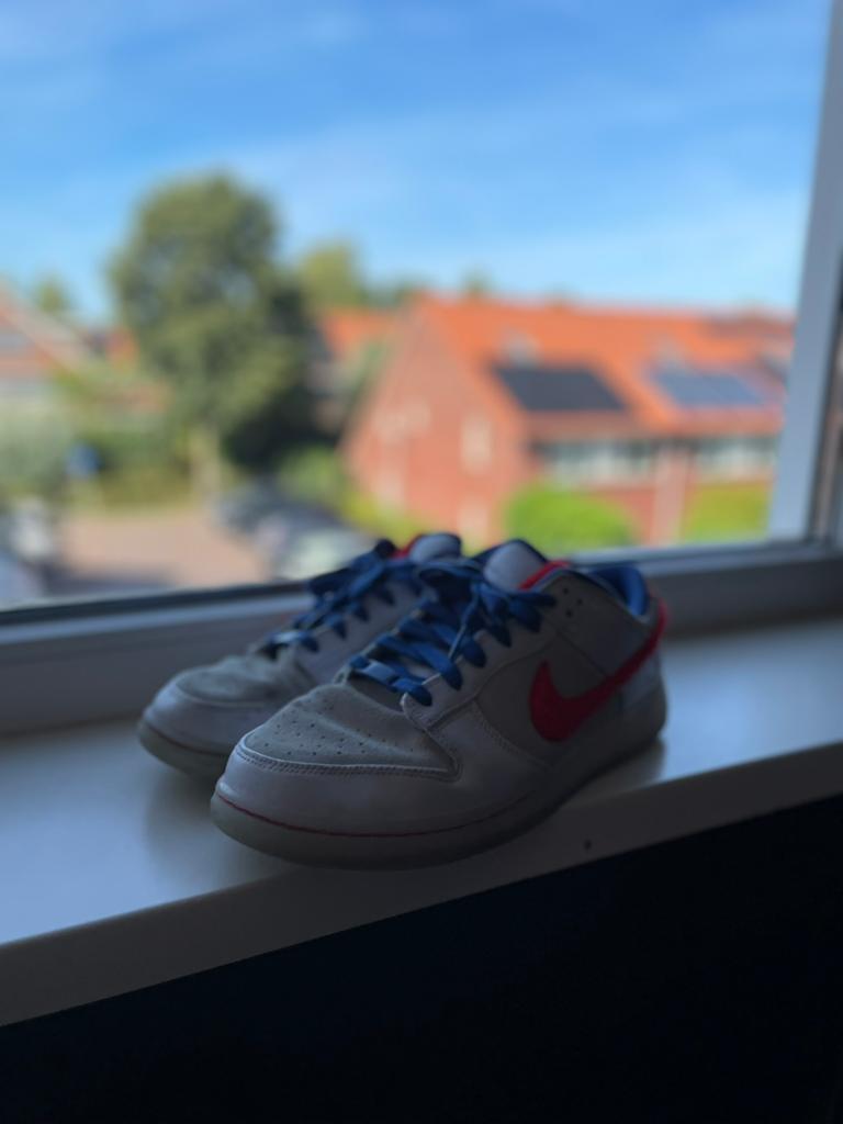 Nike sb dunk rabbit of the year maat 46, Ophalen of Verzenden, Zo goed als nieuw, Overige kleuren