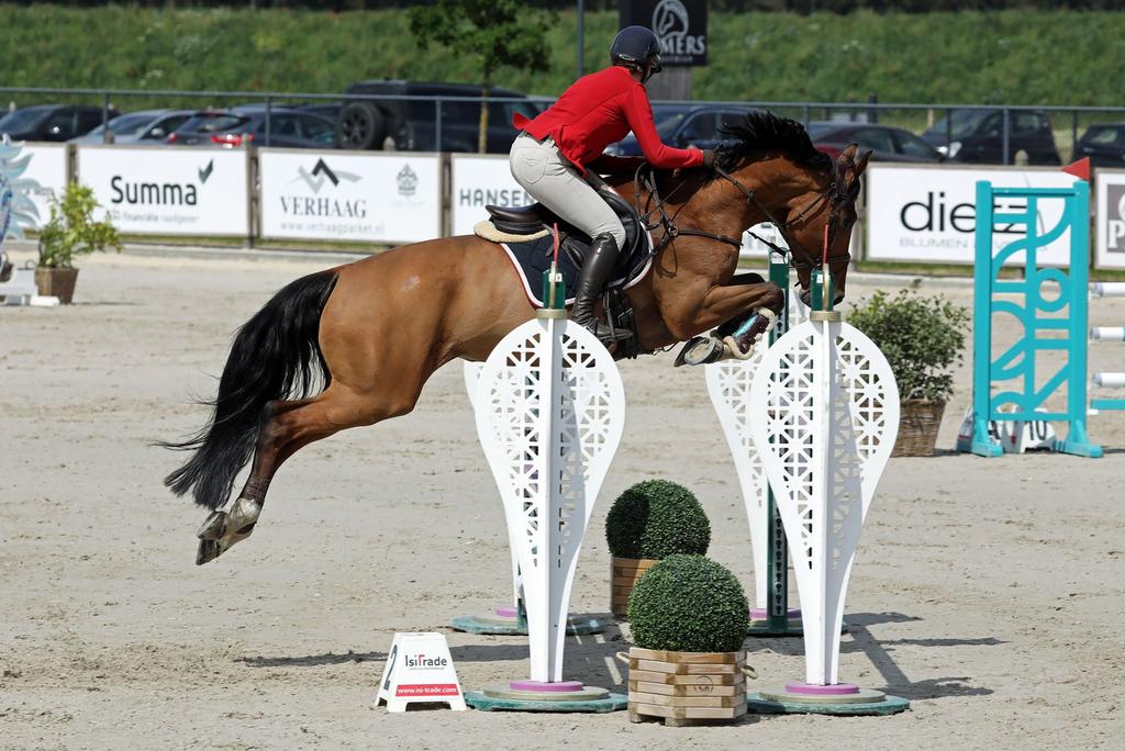 Plek vrij op trainingsstal voor paarden en pony’s, 3 tot 6 jaar