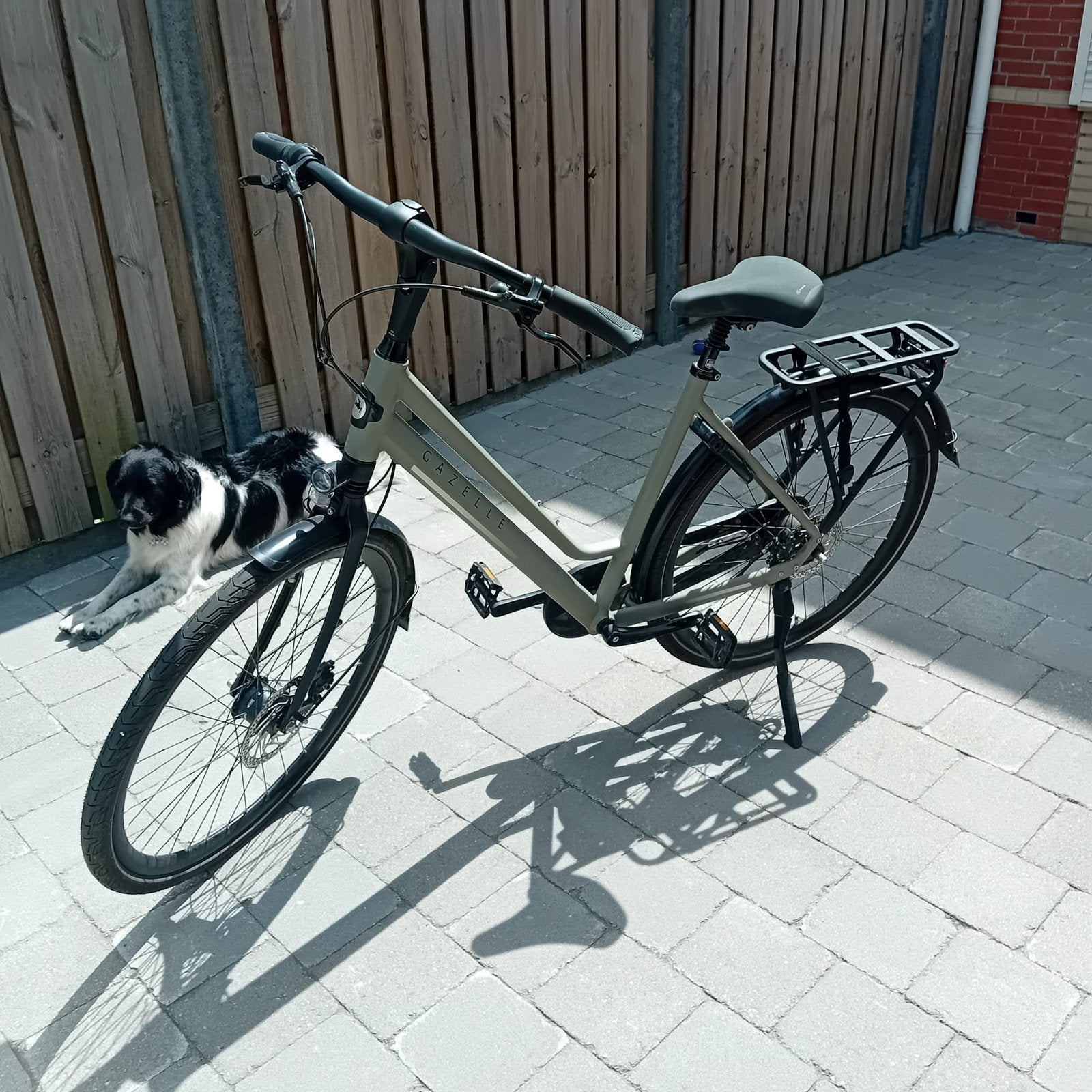 Nieuwe Gazelle Chamonix C8, nog geen jaar oud, Fietsen en Brommers, Versnellingen, Zo goed als nieuw, Gazelle, 56 cm of meer