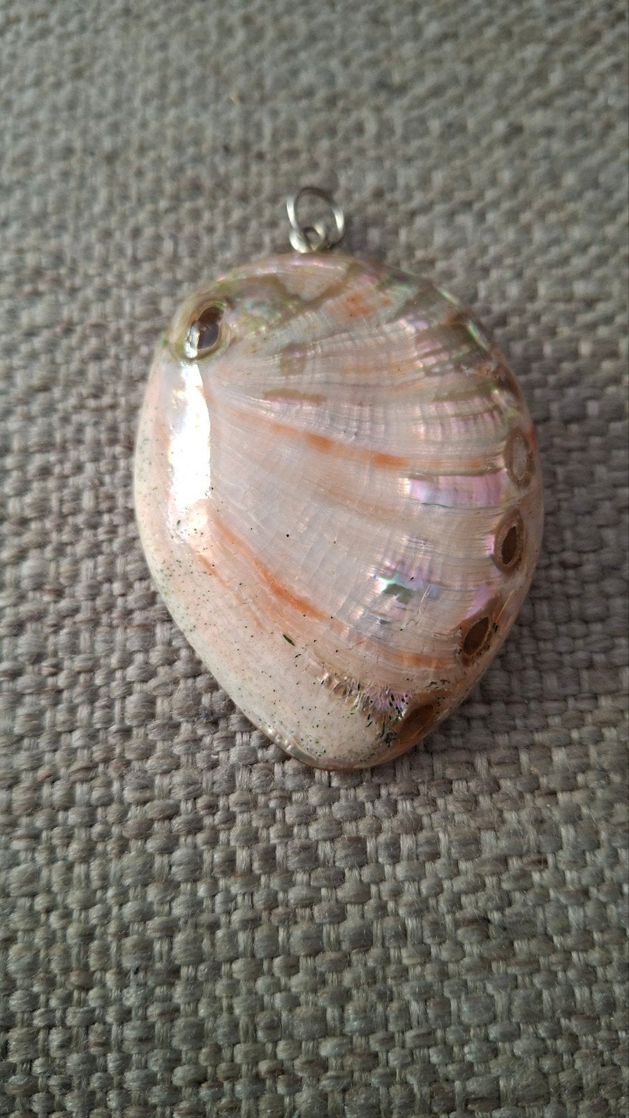 Hanger van een  abalone schelp, Ophalen of Verzenden, Zo goed als nieuw
