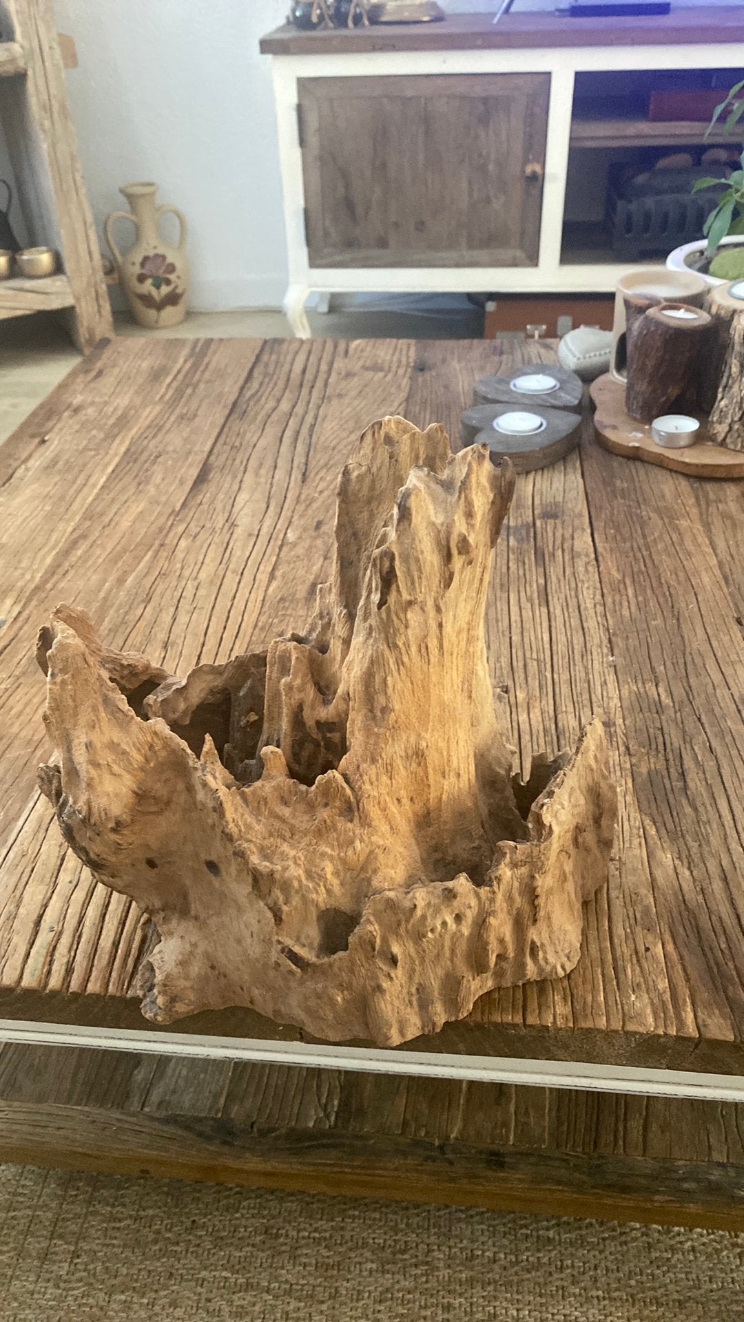 Zeer mooie wood voor terrarium, Dieren en Toebehoren, Insecten en Spinnen