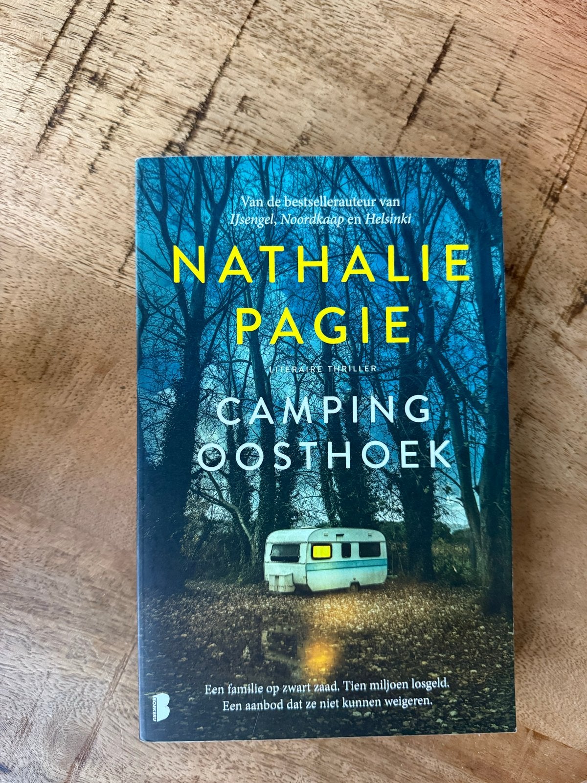 Camping Oosthoek - Nathalie Pagie (Literaire thriller), Ophalen of Verzenden, Gelezen, Nederland