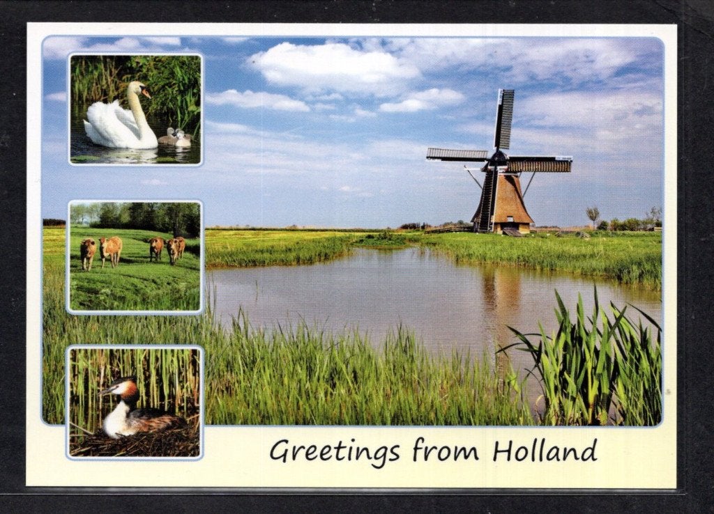 molen; Poldermolen De Miedenmolen te Holwerd., Verzamelen, Verzenden, 1980 tot heden, Ongelopen, Friesland