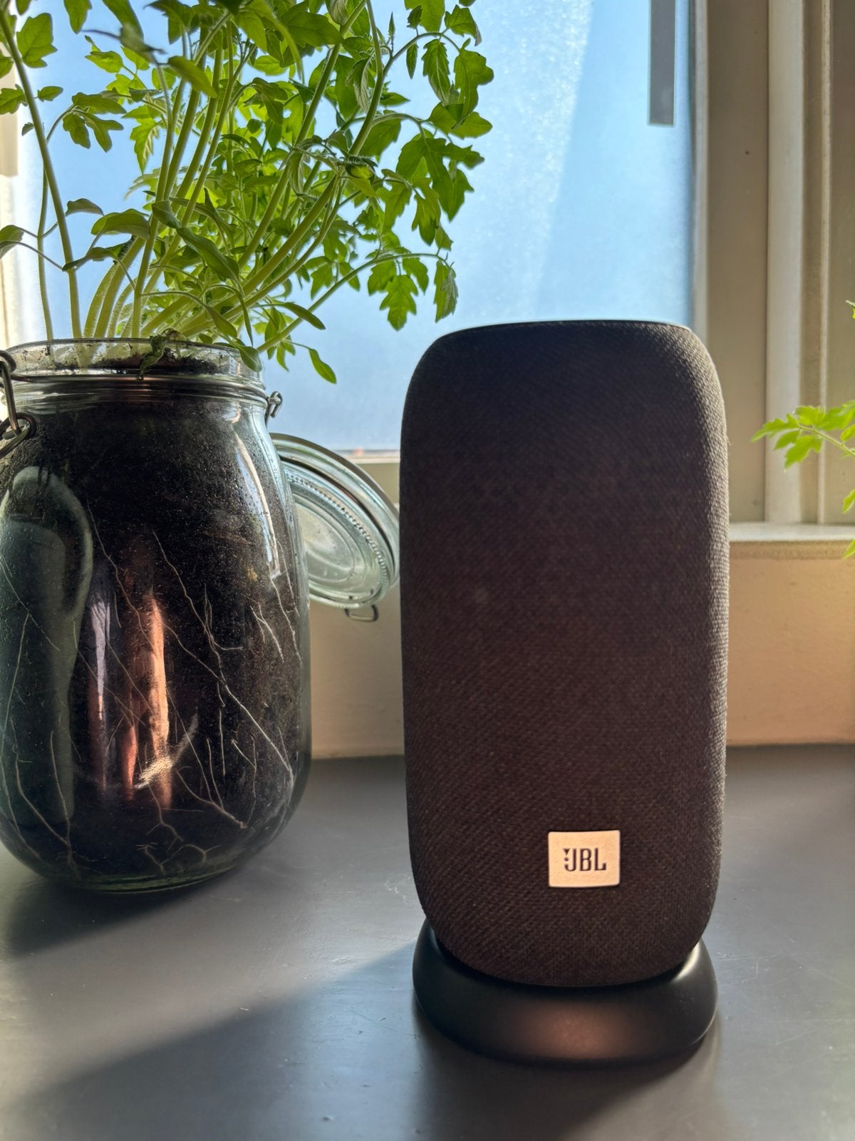 Jbl link portable, Ophalen, JBL, Overige typen, Zo goed als nieuw