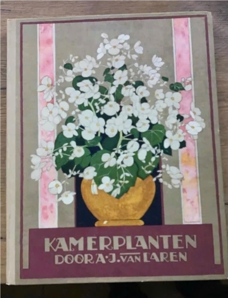Verkade’s plaatjesalbum kamerplanten uit 1928, Ophalen of Verzenden, Zo goed als nieuw, Plaatjesalbum