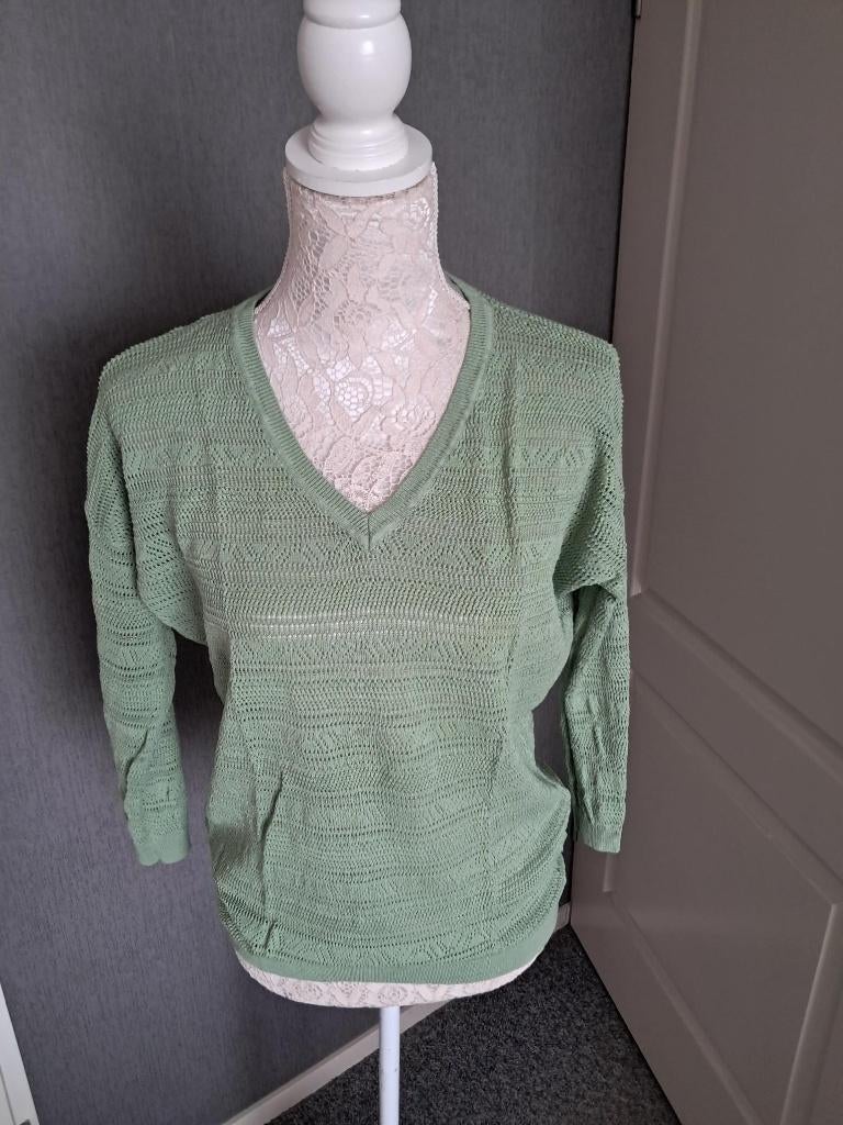 Trui Bloomings  Maat : XL 42 Kleur : Groen, Maat 46/48 (XL) of groter, Ophalen of Verzenden, Zo goed als nieuw, Bloomings