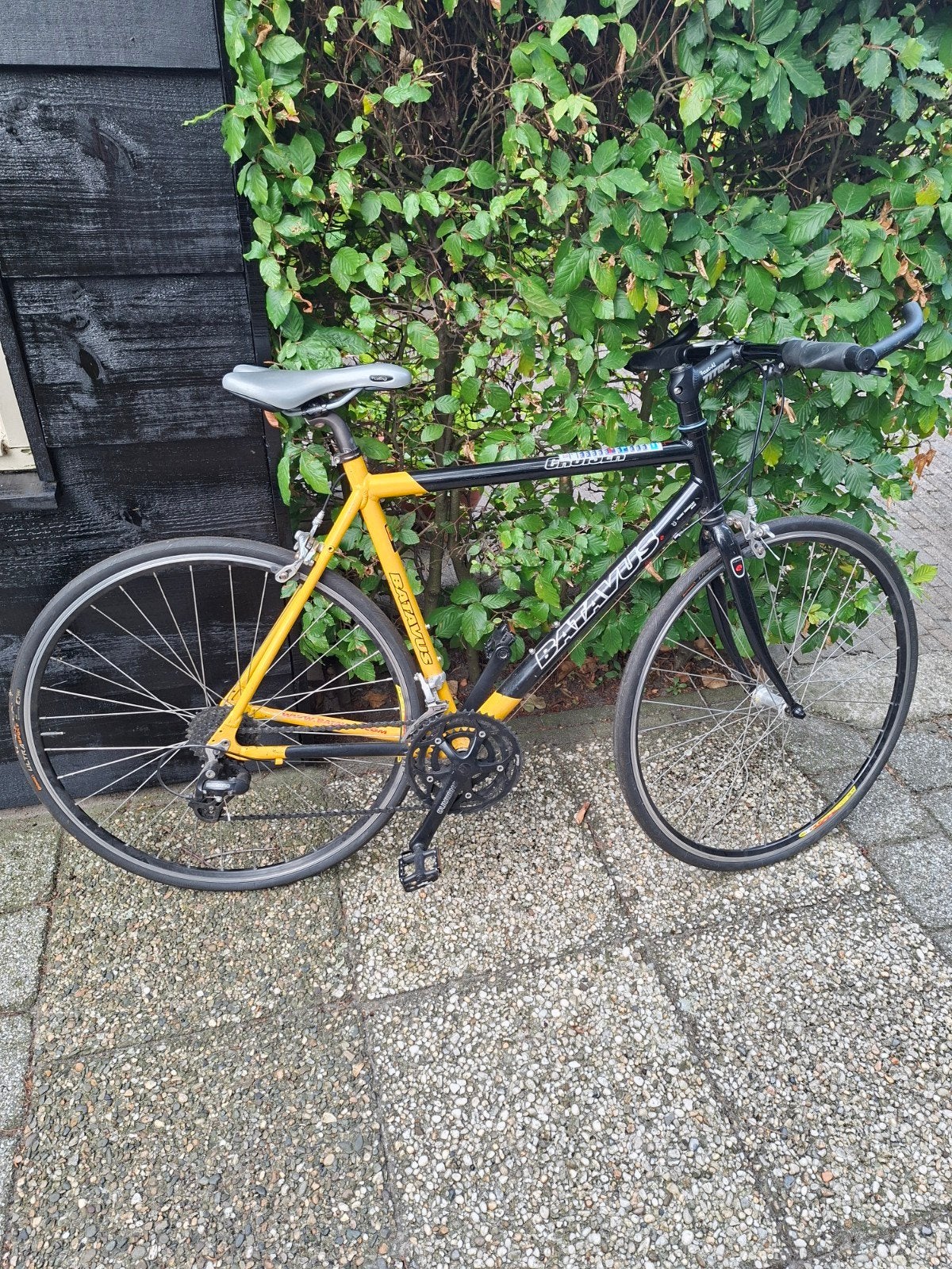 Batavus Croiser racefiets - Ideaal voor beginners, Ophalen, 28 inch, Gebruikt, Staal
