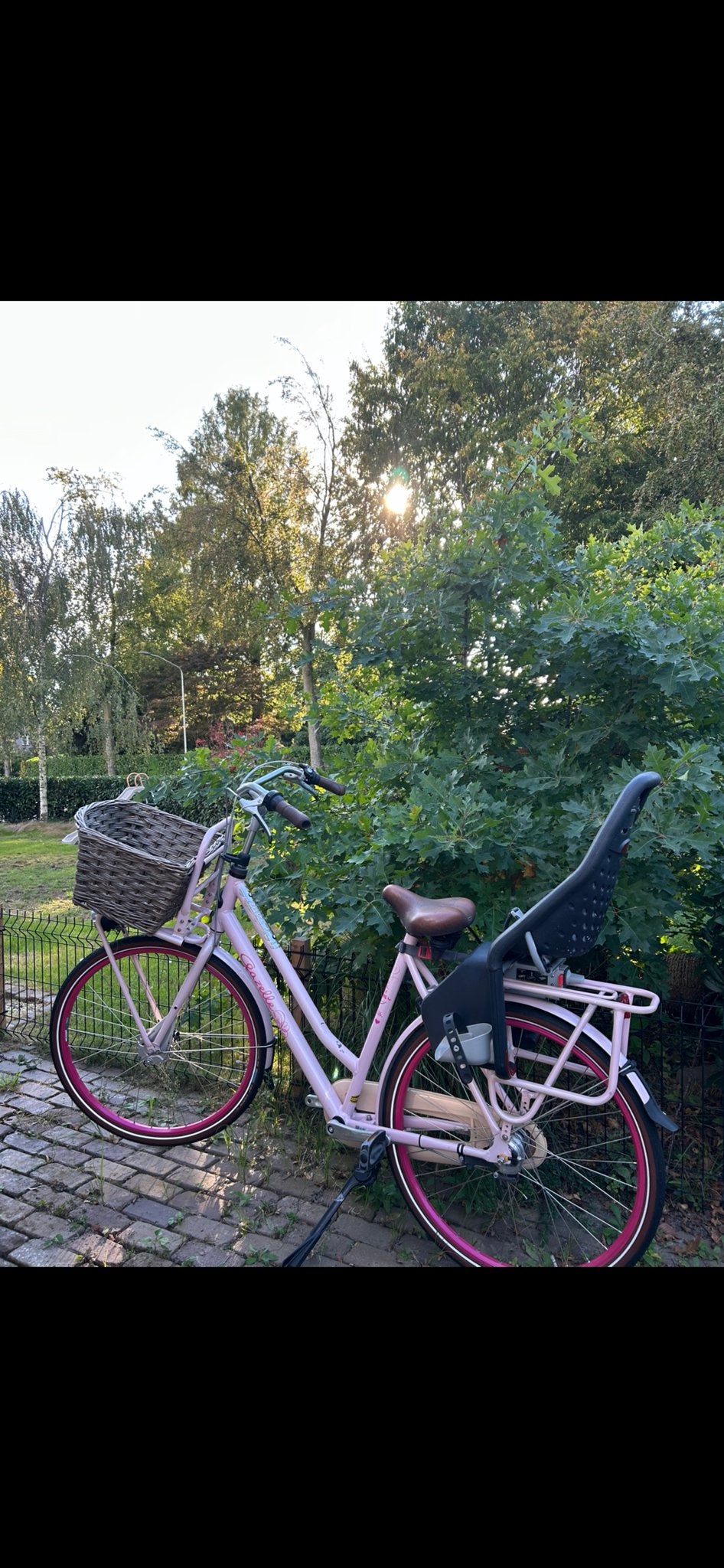 Gazelle Miss Grace Roze Damesfiets - Framemaat 59cm