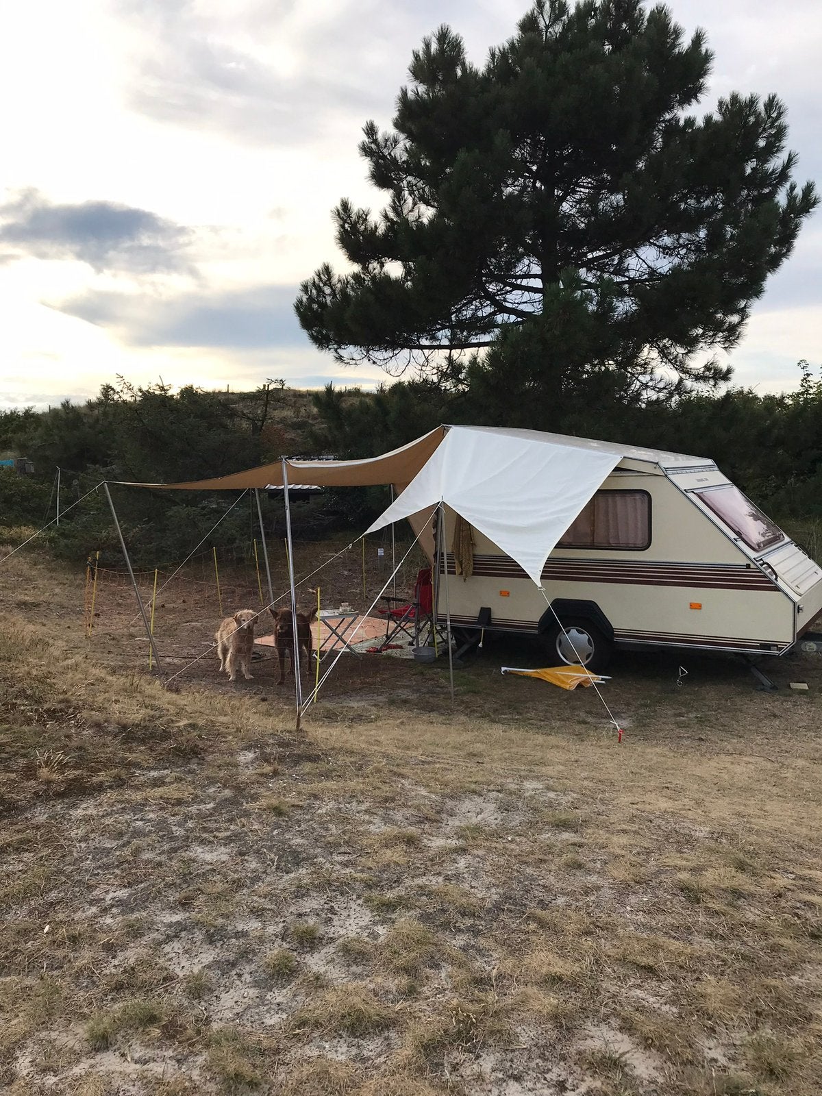 Mooie en zeer complete Kip Kompakt 300, Standaardzit, Kip, Tot en met 2, Dwarsbed