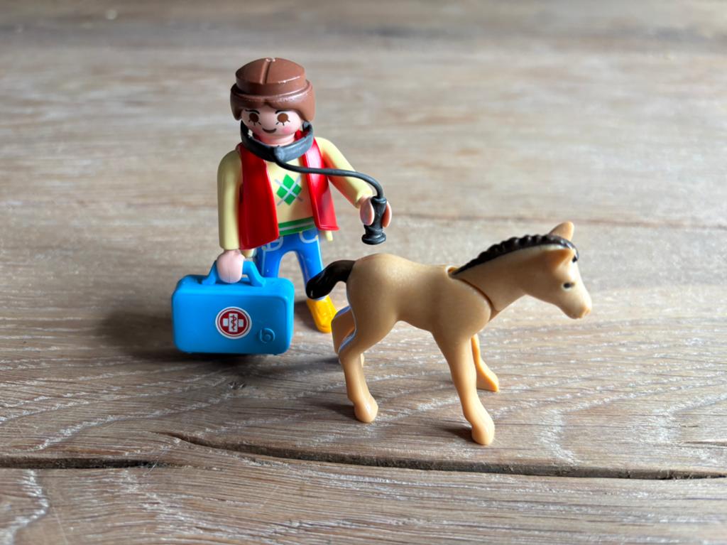 Playmobil 5820 Duopack Dierenarts met Pony, Ophalen of Verzenden, Zo goed als nieuw