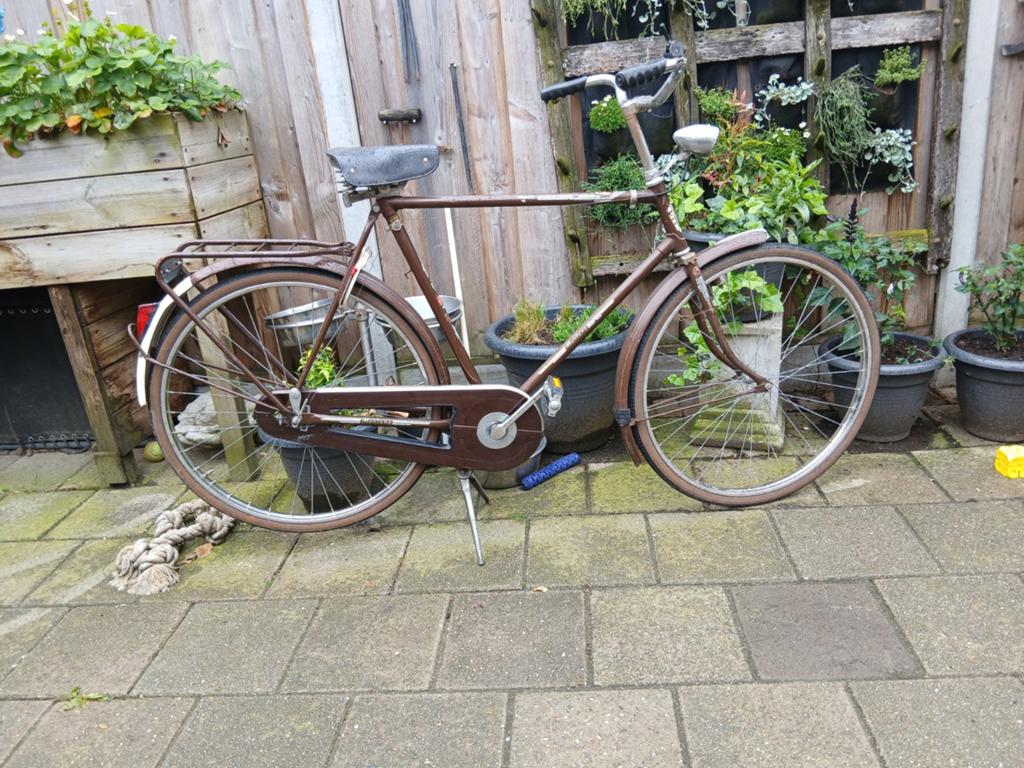 Kleine herenfiets, 55 tot 59 cm, Ophalen, Mustang