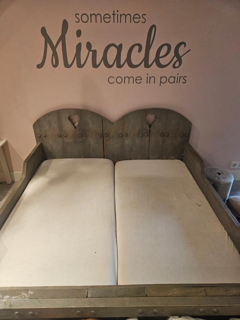Tweelingbed peuter/kleuter handgemaakt, Ophalen, Tweepersoons, Hout