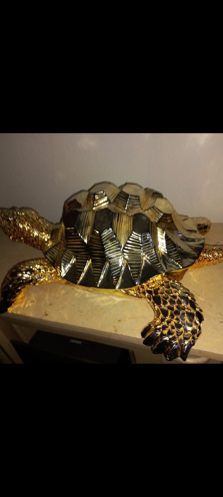 gouden schildpad, Ophalen, Zo goed als nieuw, Dier