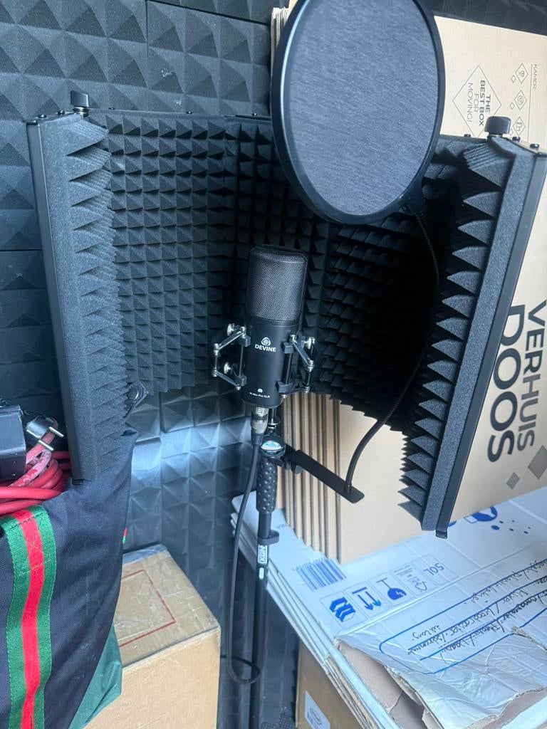 Divine Zang Microfoon met standaard, Ophalen of Verzenden, Zo goed als nieuw, Overige merken