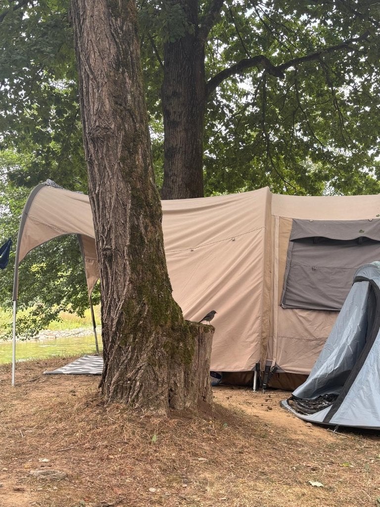 Redwood Aspen 320 - Ruime 4-persoons familietent, Caravans en Kamperen, Tenten, Ophalen, Gebruikt, Tot en met 4