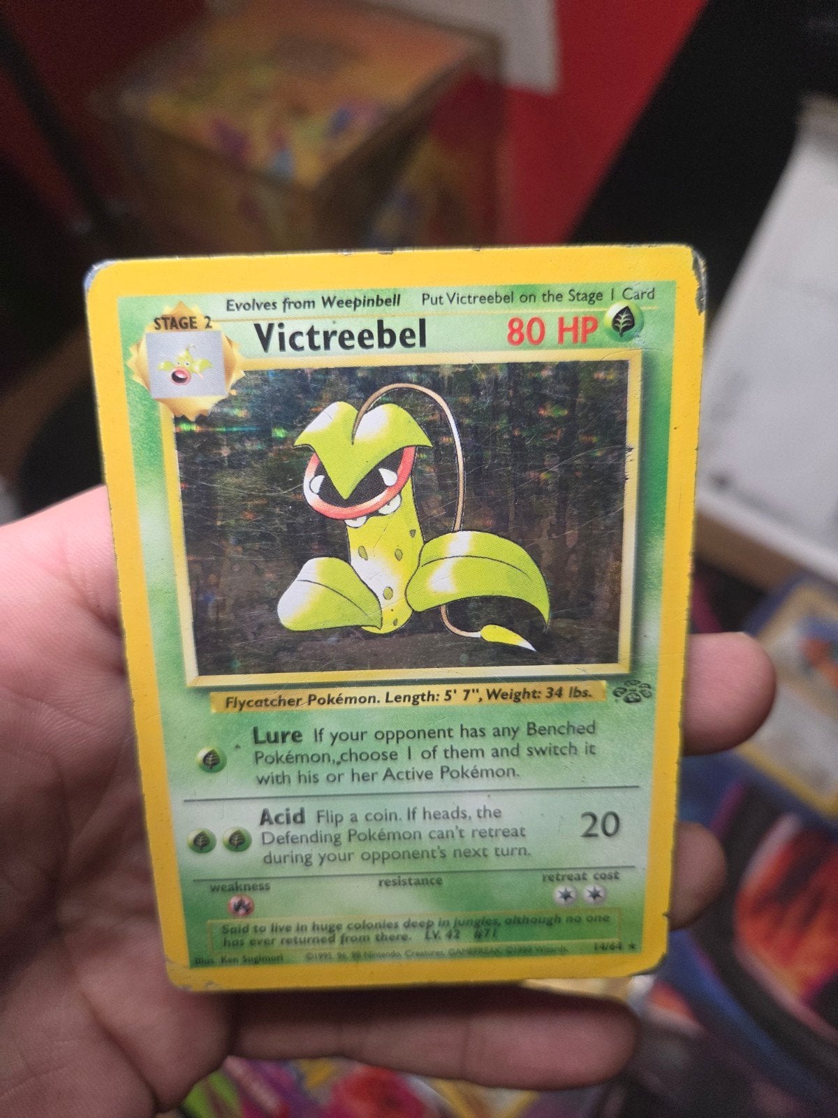Victreebel 14/64 Holo Jungle 1999 Wizard of the Coast era, Ophalen of Verzenden, Gebruikt, Losse kaart, Foil