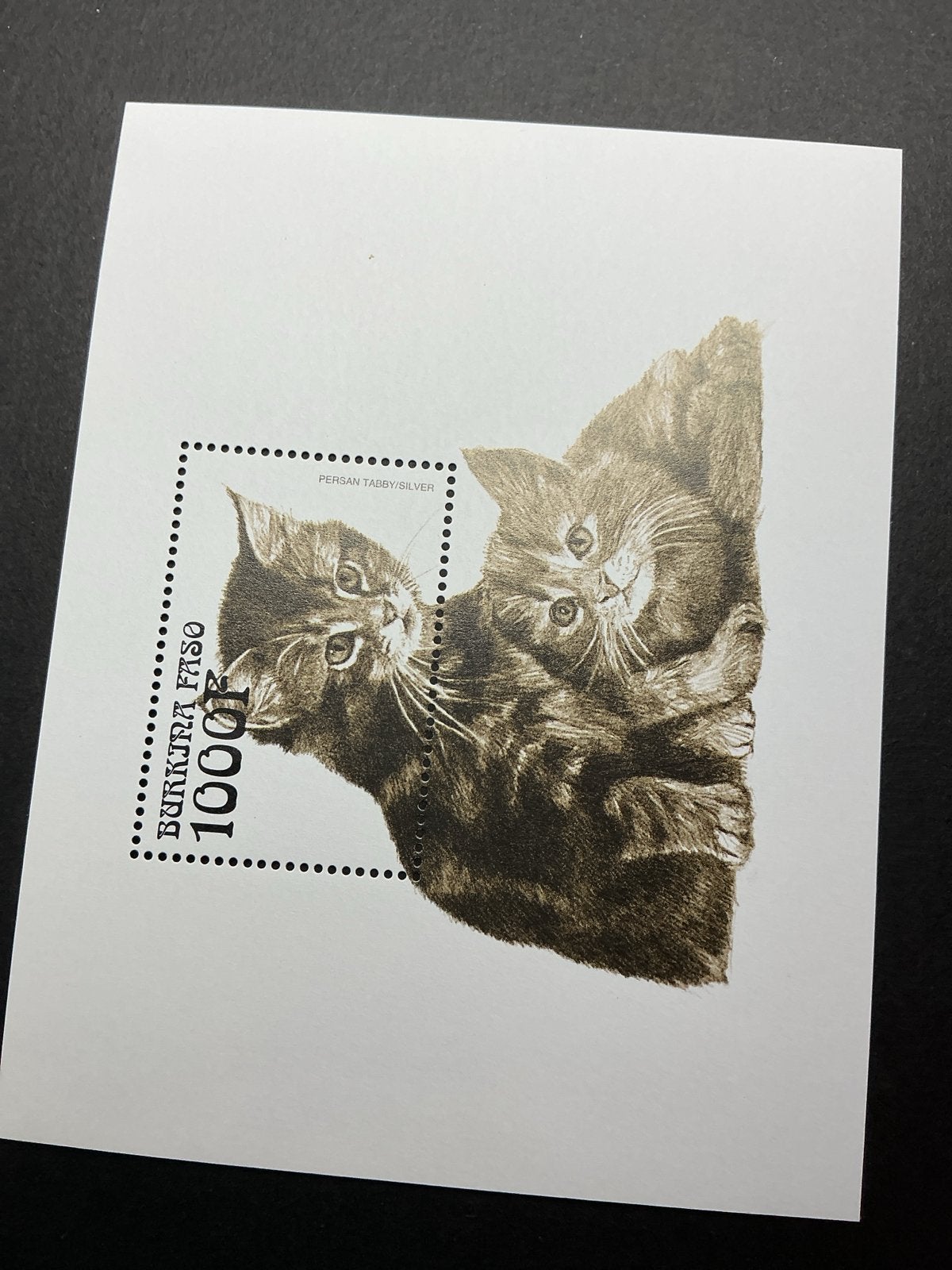 Katzen Cats Burkina Faso - Katten (2 stuks), Verzenden, Postfris