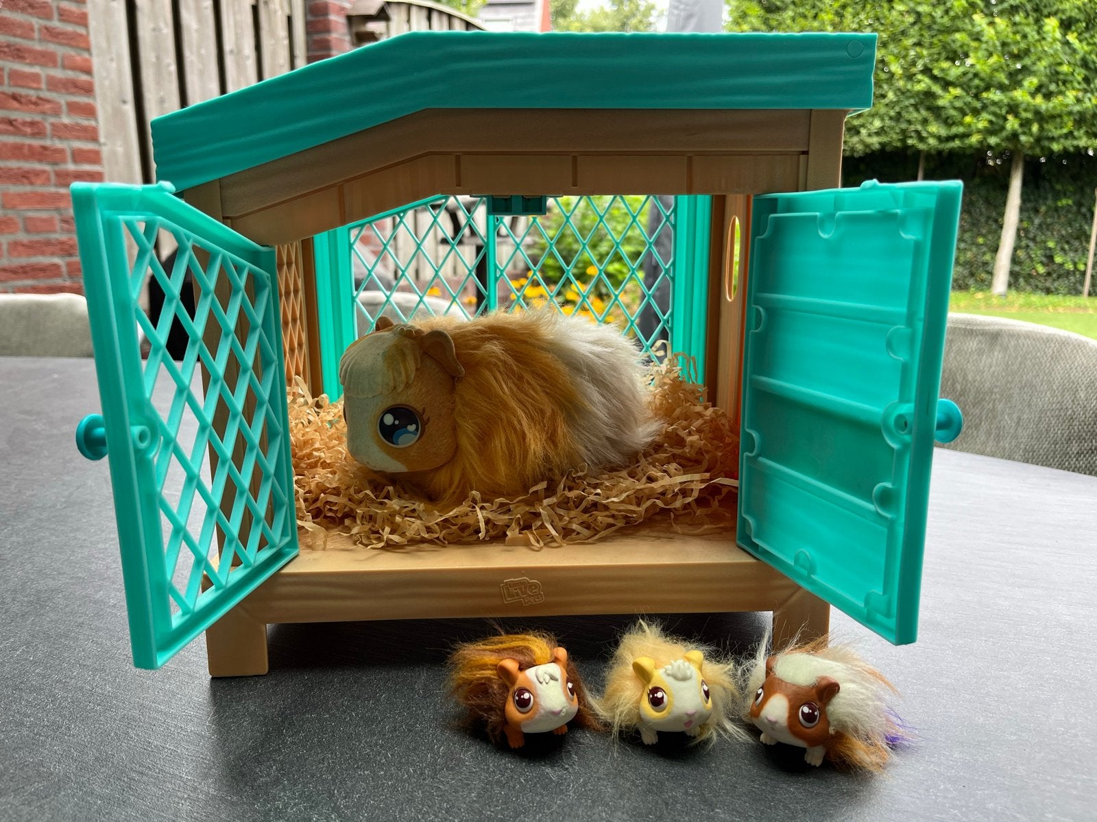 Little Live Pets Interactieve Cavia met Hok en Accessoires, Ophalen of Verzenden, Zo goed als nieuw, Jongen of Meisje