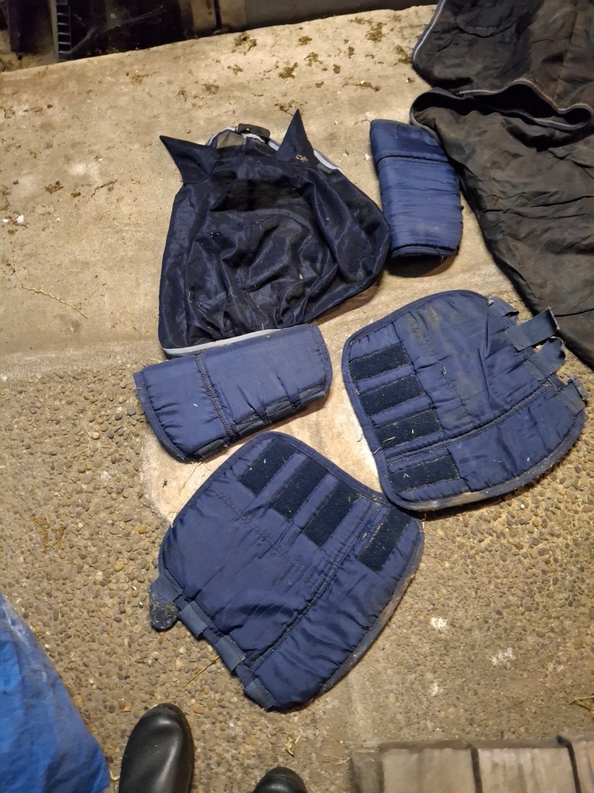 paardedekens, beenbeschermers, dekje. Gratis, Dieren en Toebehoren, Ophalen, Gebruikt