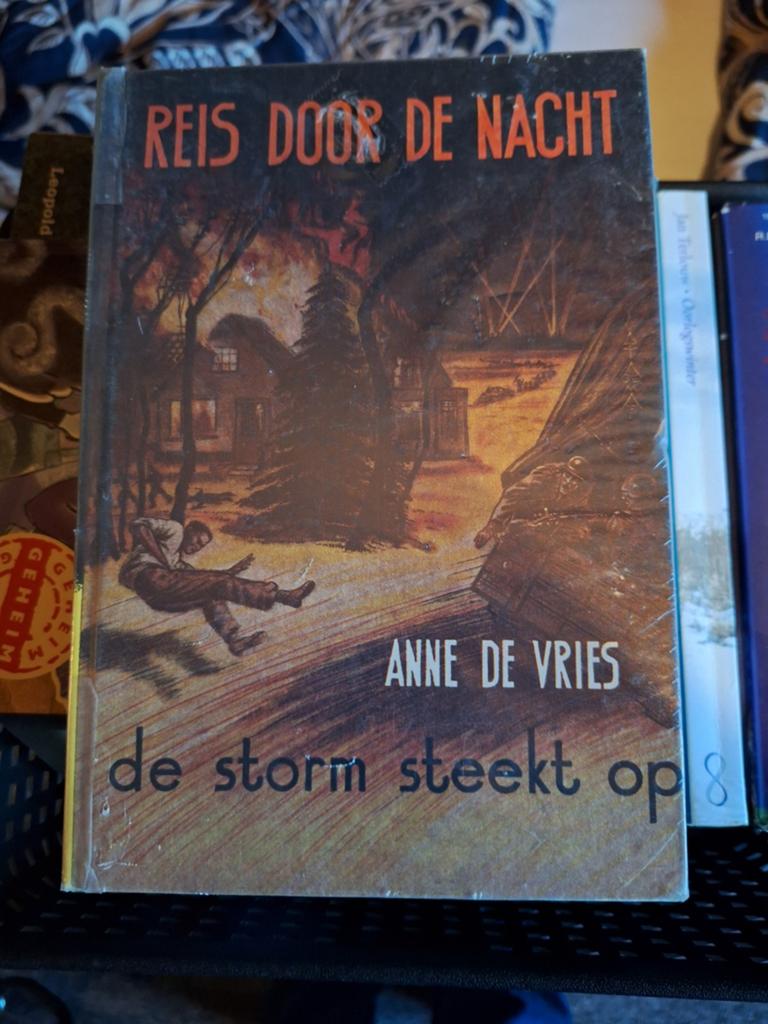 Reis door de Nacht - De Storm Steekt Op - Anne de Vries, Boeken, Romans, Gelezen, Nederland, Ophalen of Verzenden