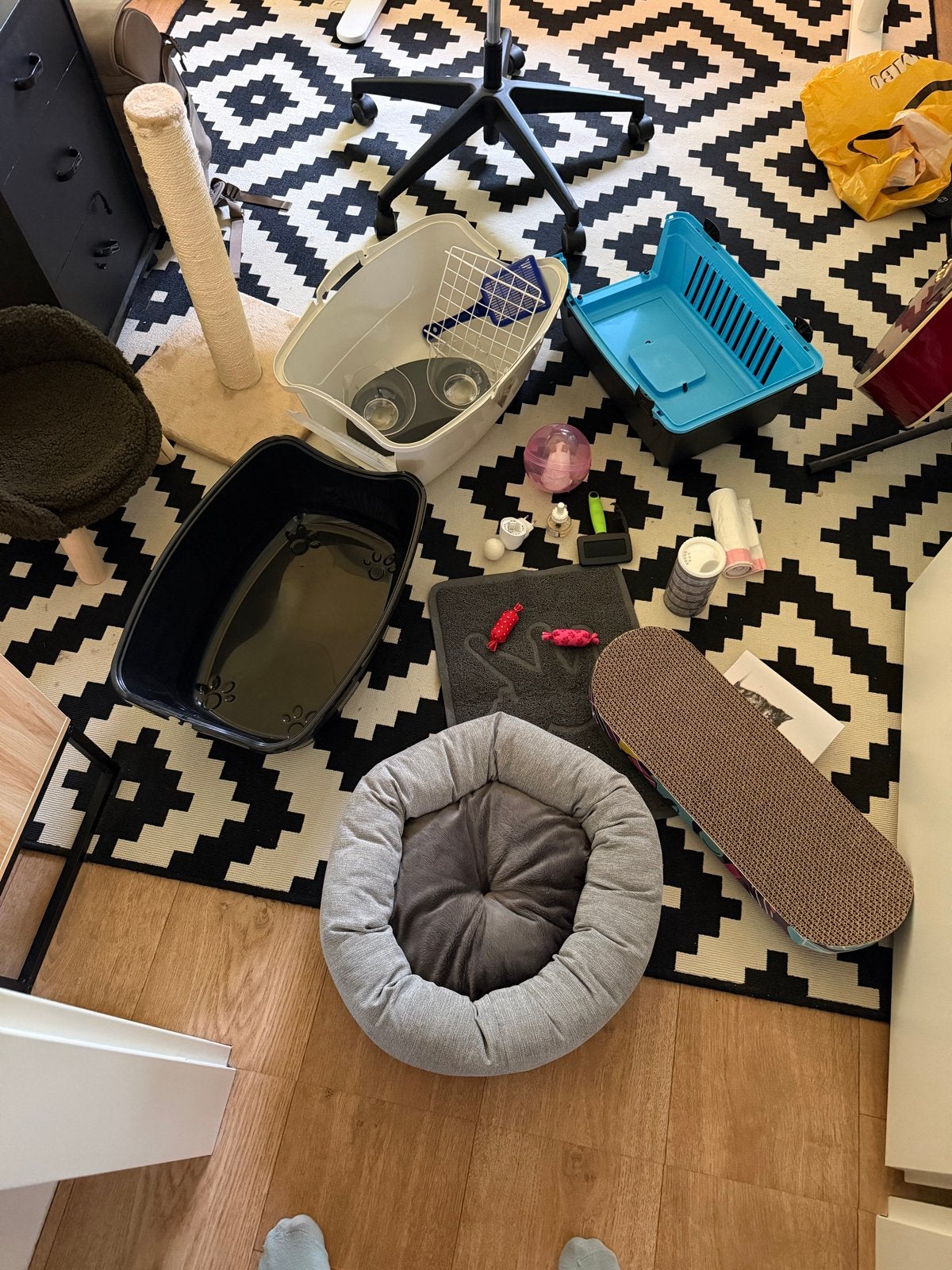 Nieuwe Kattenspullen/accesoires, Ophalen, Nieuw