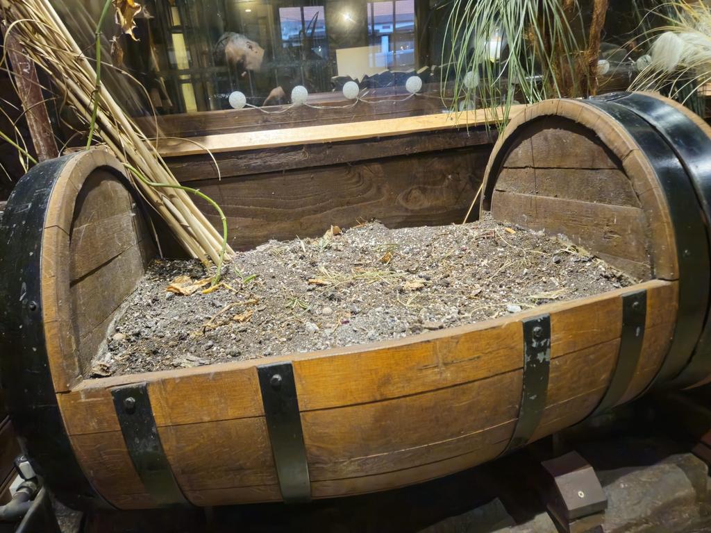 Bloembakken van een houten wijnvat, Rond, Ophalen of Verzenden, Zo goed als nieuw, Tuin