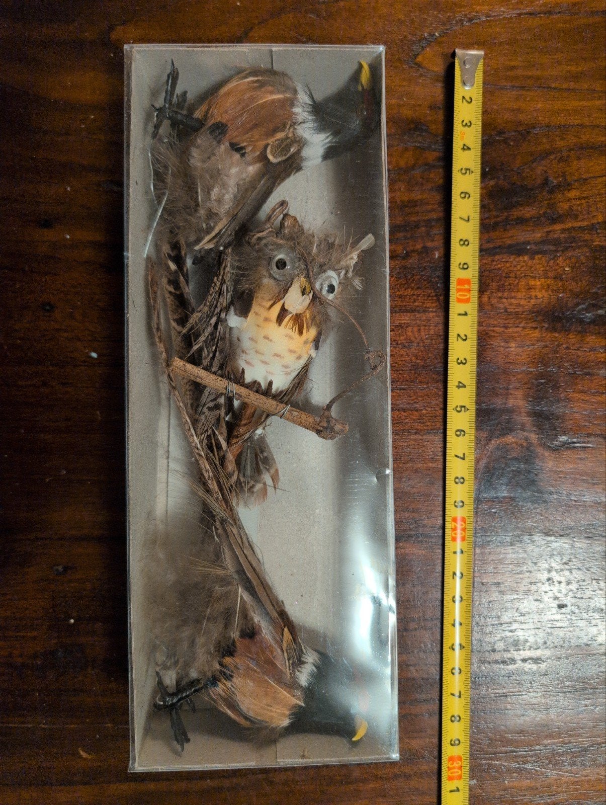 uil en vogels in vitrine - Vintage decoratie, Ophalen of Verzenden, Gebruikt