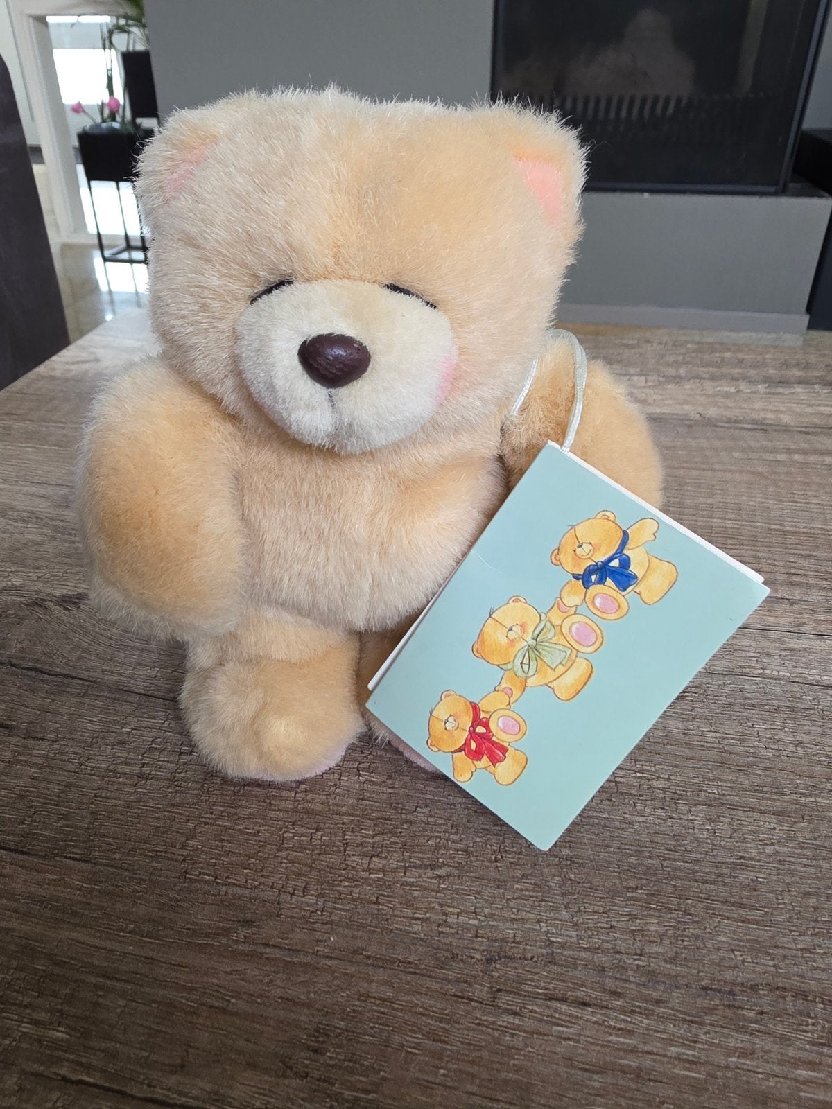 Forever Friends knuffelbeer - Zo goed als nieuw, Ophalen of Verzenden, Zo goed als nieuw, Forever Friends